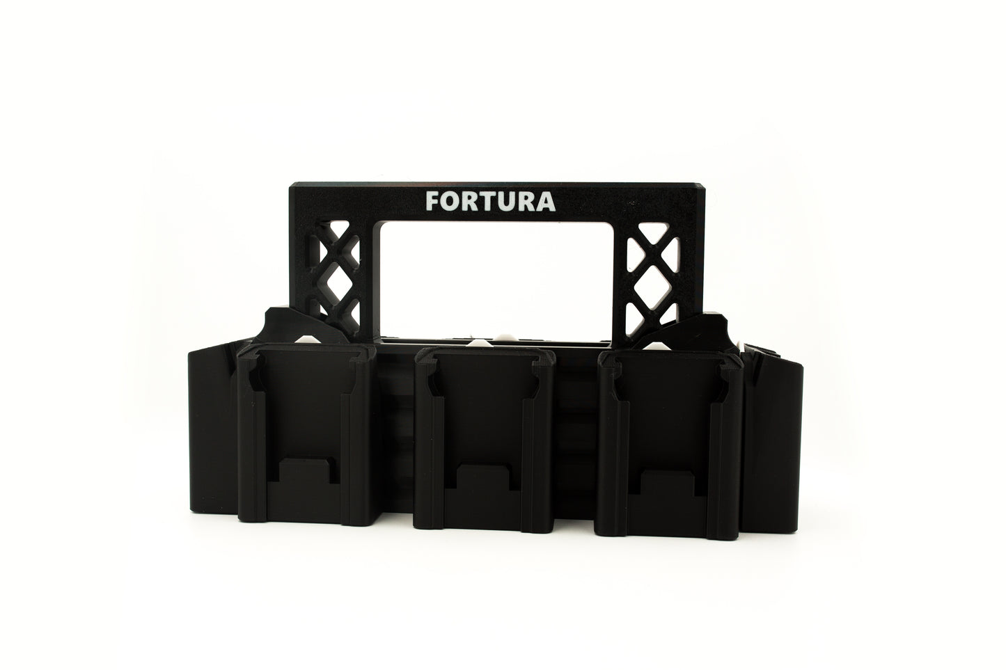 Fortura Modular Battery Carrier
