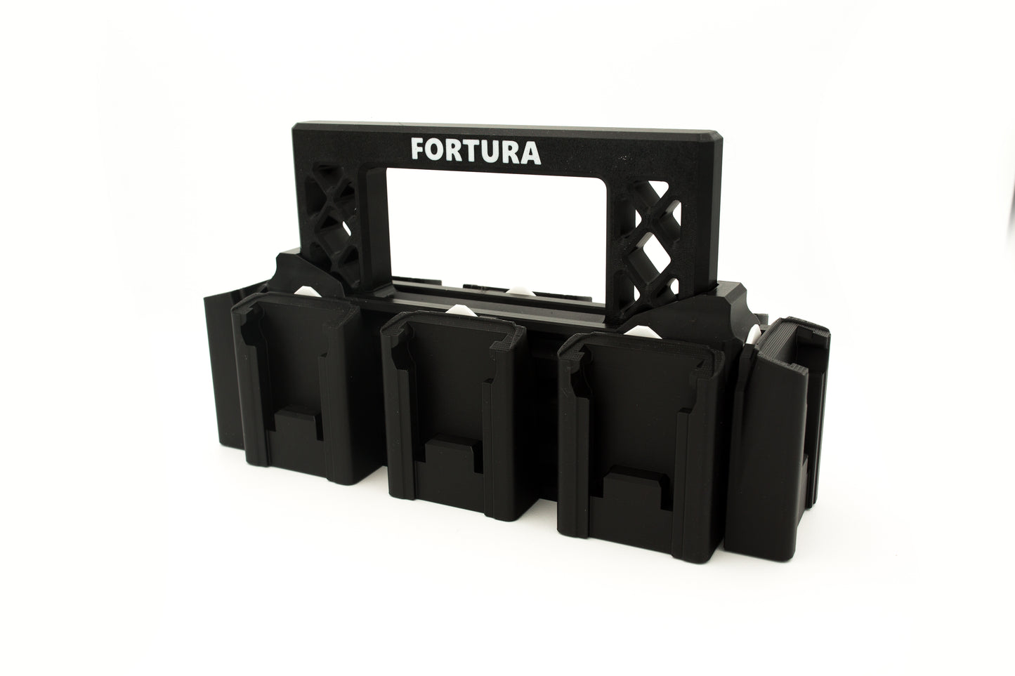 Fortura Modular Battery Carrier